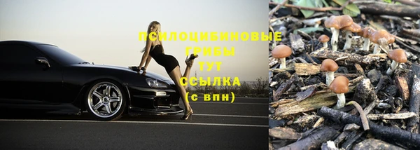 спайс Каменка