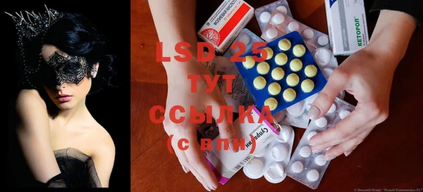 герыч Каменногорск