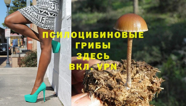 герыч Каменногорск