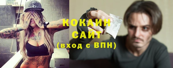 спайс Каменка