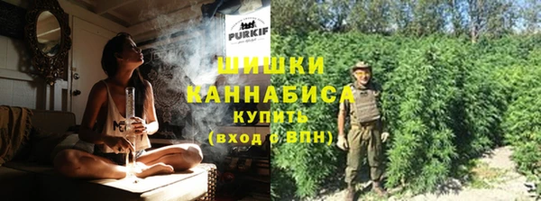 спайс Каменка