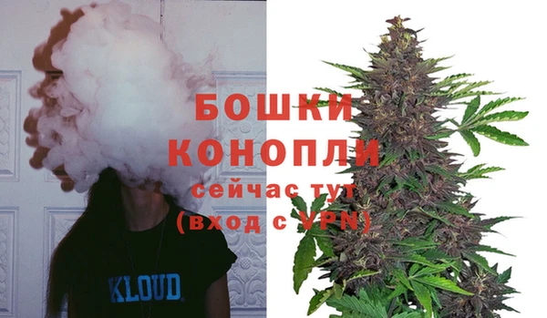 герыч Каменногорск