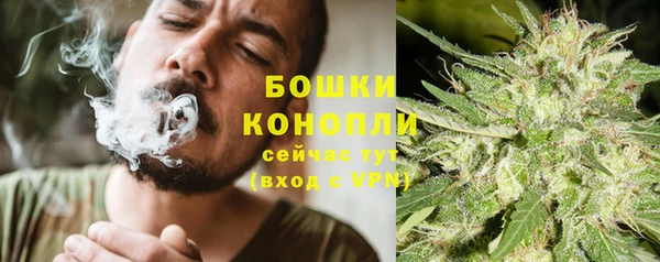 спайс Каменка