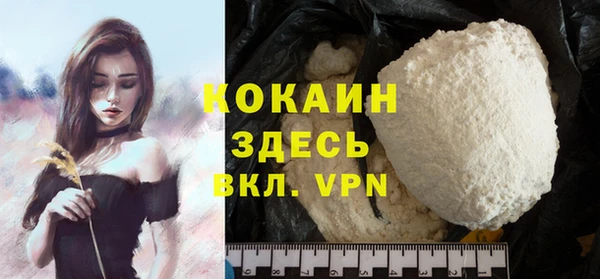 спайс Каменка