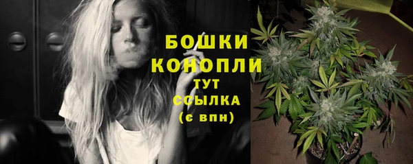 спайс Каменка