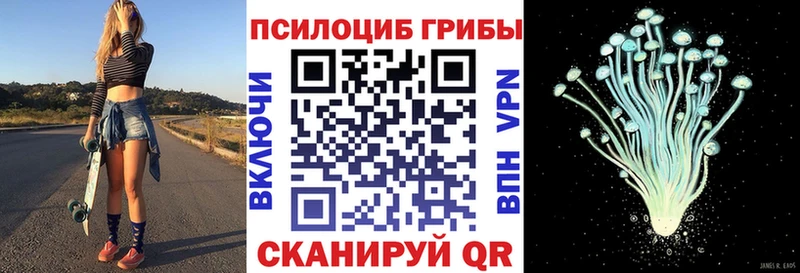 Галлюциногенные грибы мухоморы Купить где Аркадак