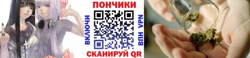 Шишки марихуана гибрид Купить где Аркадак